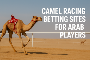 Camel racing betting illustration