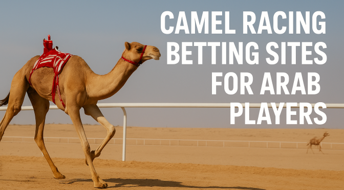Camel racing betting illustration